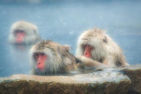 錦糸町のパーソナルジムならオレンジジム